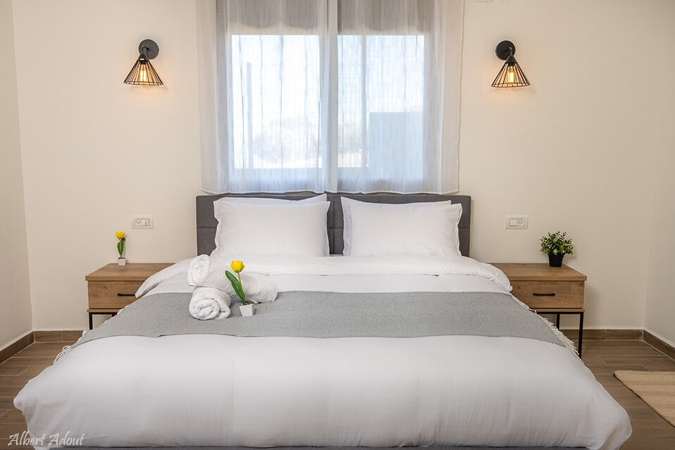 תמונה של אדמה + גזע - 3