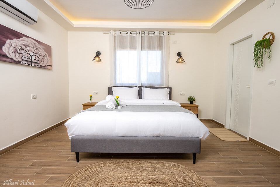 תמונה של אדמה + גזע - 2