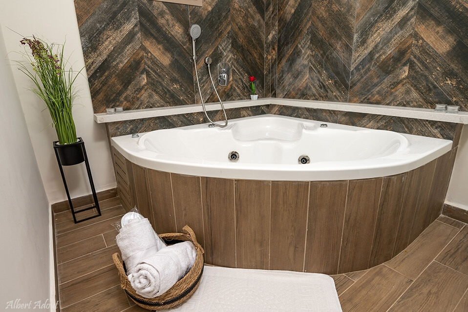 תמונה של שורש + ענף - 11