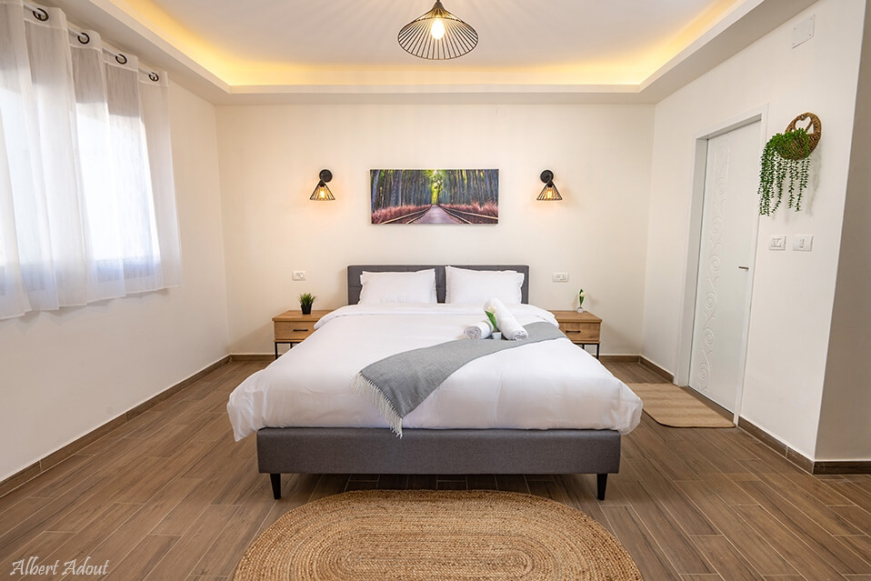 תמונה של שורש + ענף - 2