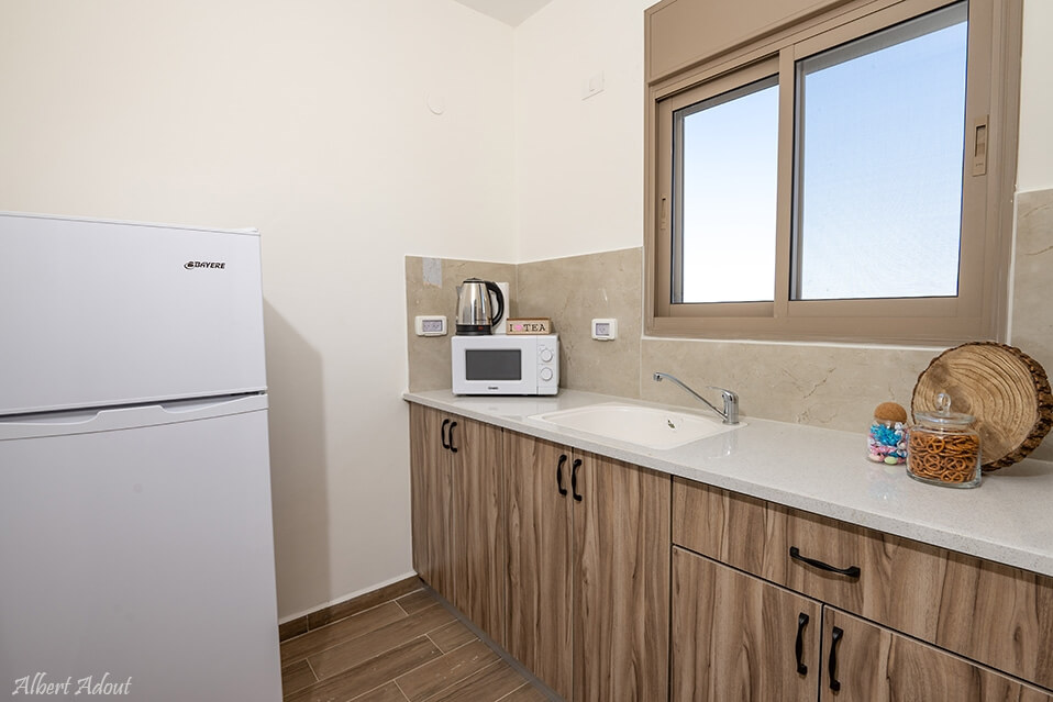 תמונה של שורש + ענף - 10