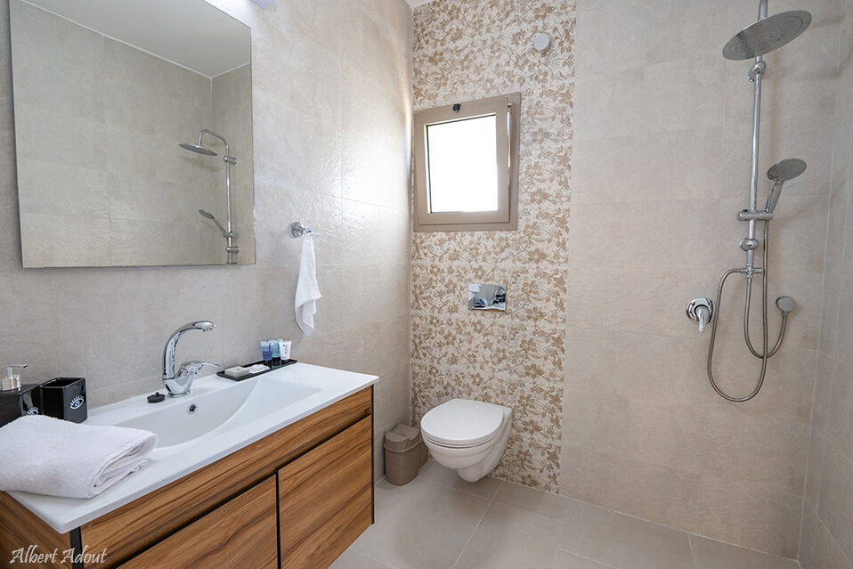 תמונה של שורש + ענף - 12