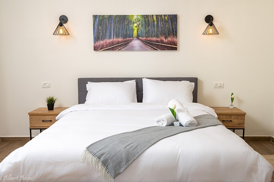 תמונה של שורש + ענף - 3