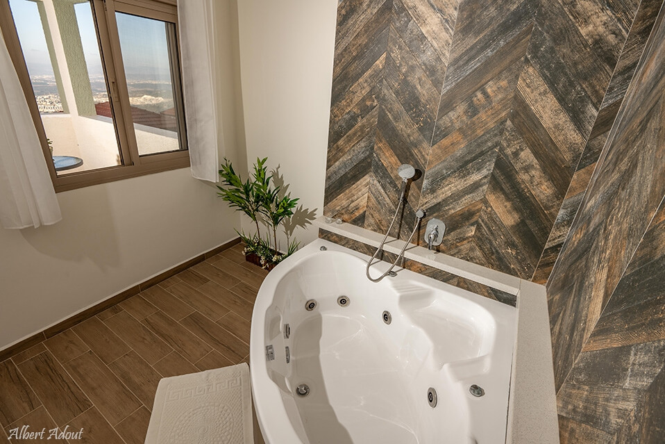 תמונה של עלה + בלוט - 6