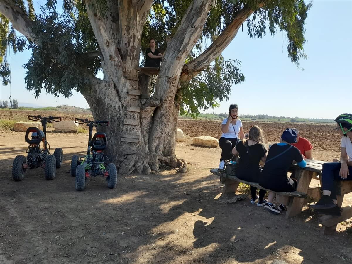 תמונה שצולמה בגרין ריידר - 3 תמונה של גרין ריידר - 3