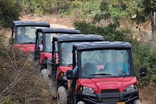 תמונה של ימי גיבוש וכיף
