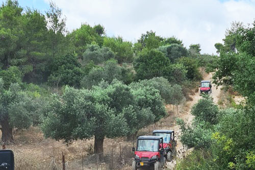 תמונה של ימי גיבוש וכיף