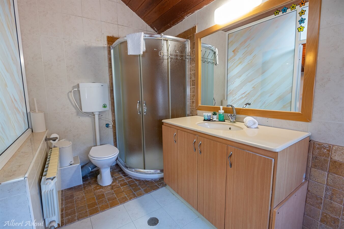 תמונה של יחידת לאה - 8