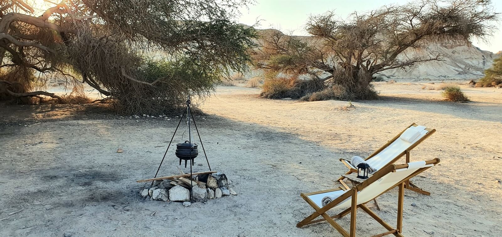 תמונה של קרוואן אוריון - 10 תמונה של קרוואן אוריון - 10