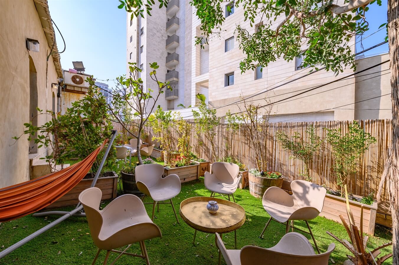 תמונה של שקד - 14