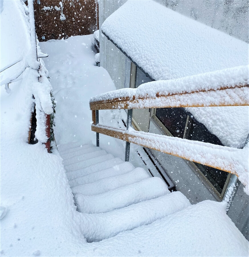 תמונה של דירת הנופש - 11