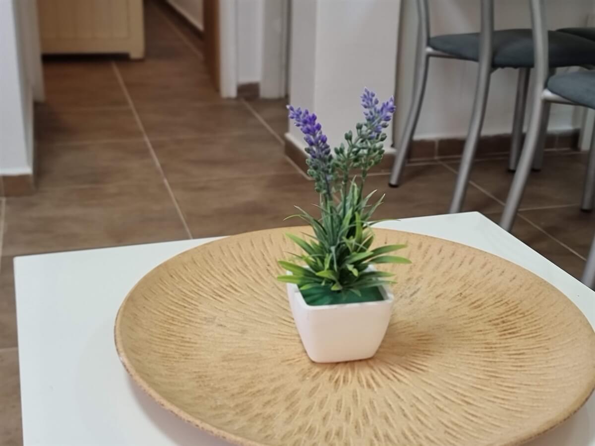 תמונה של יחידות אירוח - 8