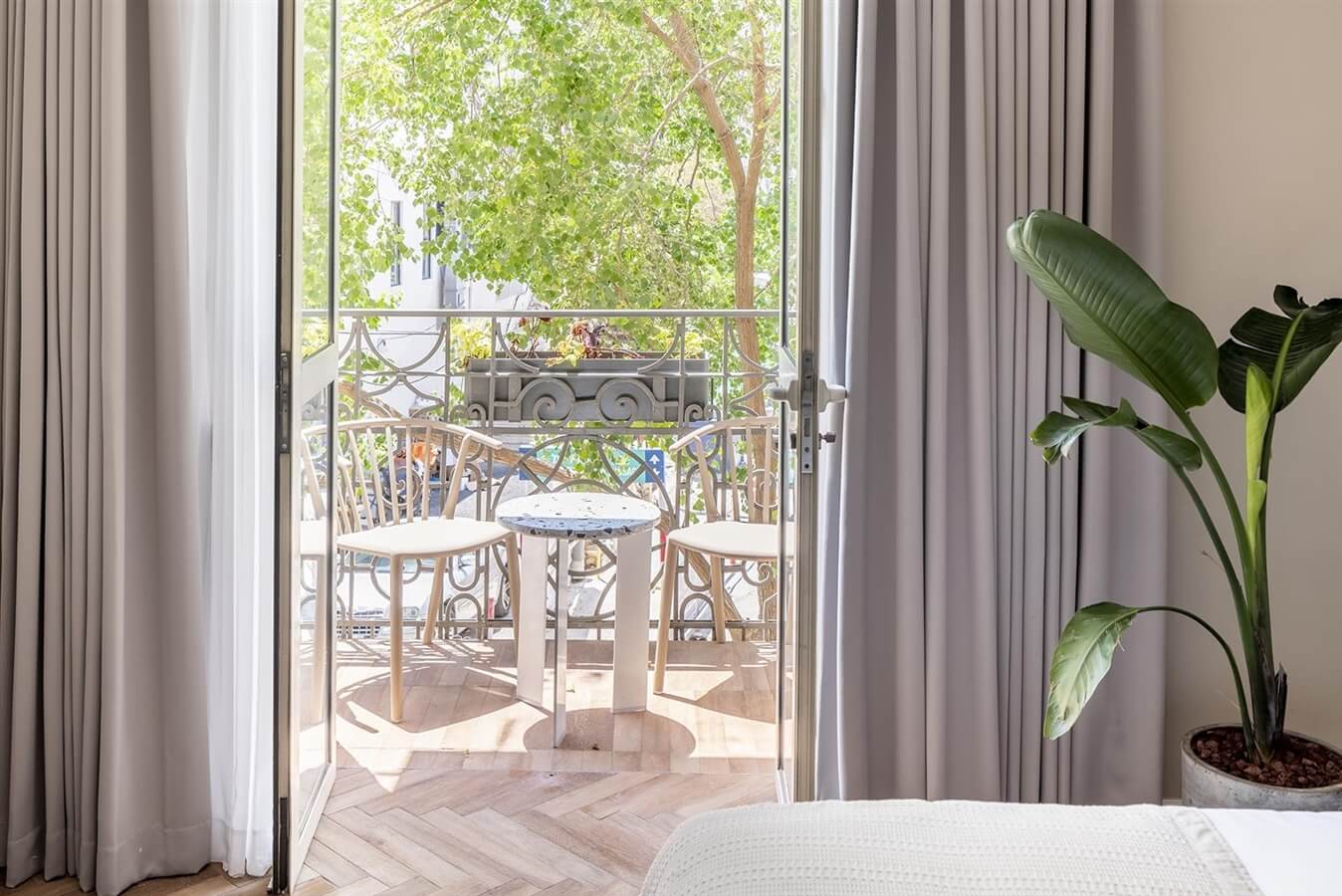 תמונה של סוויטת קינג - 7 תמונה של סוויטת קינג - 7