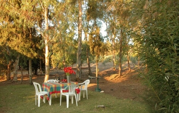 תמונה של הסוויטות - 11 תמונה של הסוויטות - 11