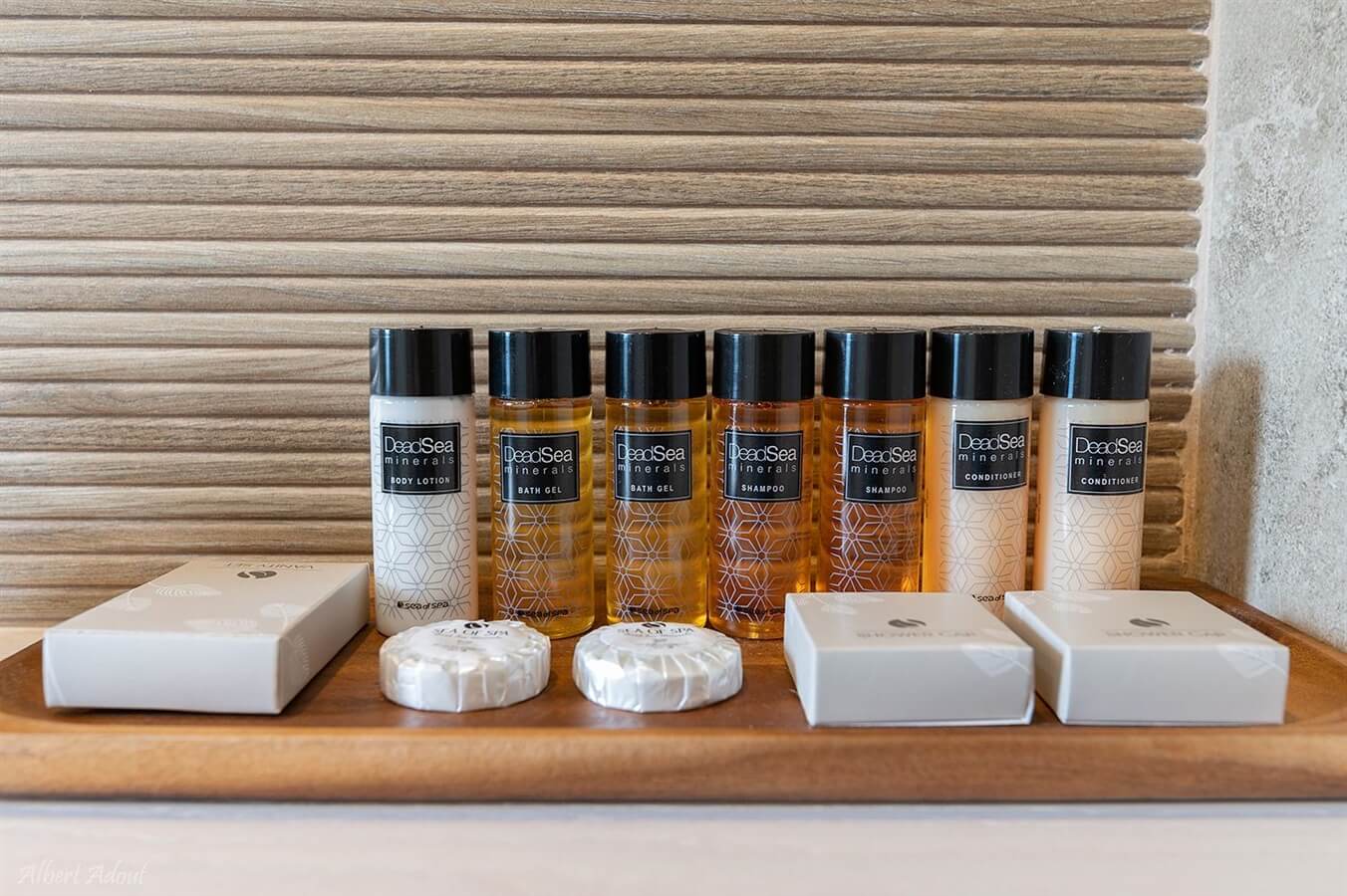 תמונה של הסוויטות - 7