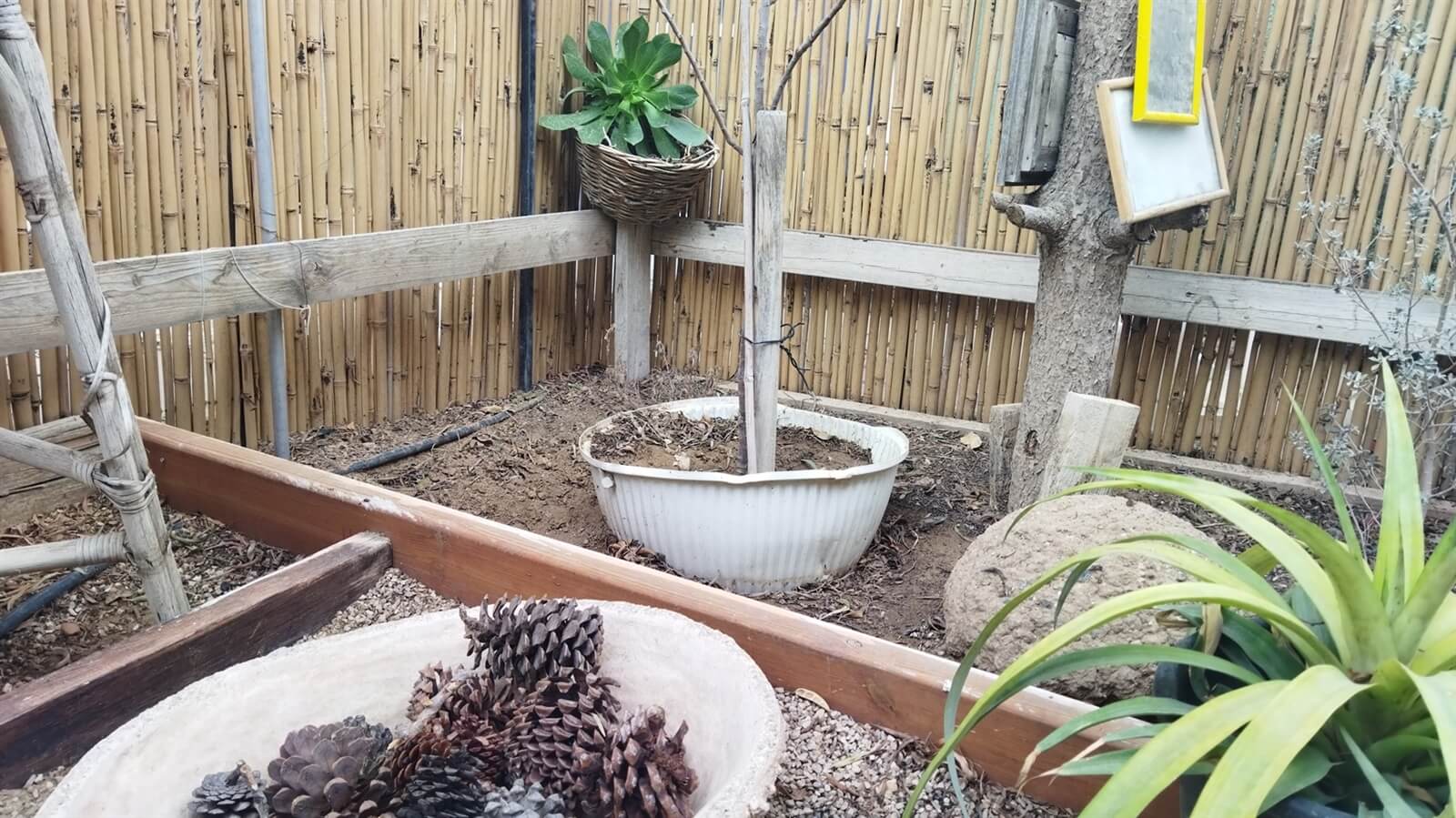 תמונה של מקום קטן בשלווה - 7 תמונה של מקום קטן בשלווה - 7