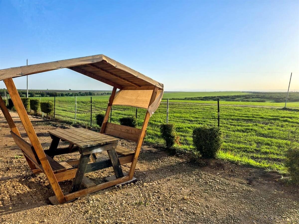 תמונה של בוטיק גל - 19