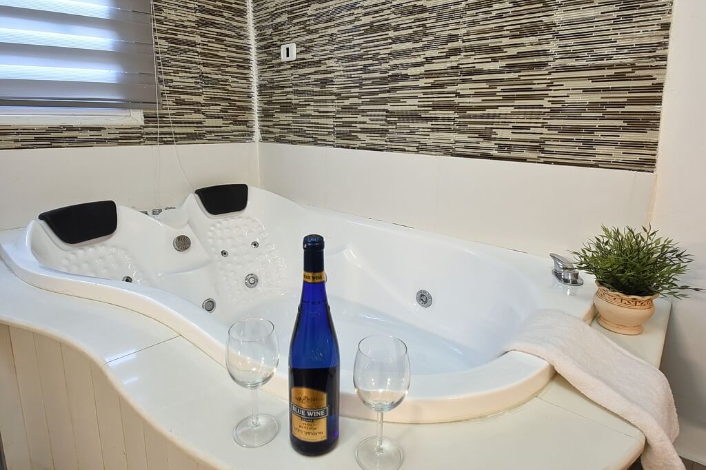 תמונה של בקתת נועם - 4