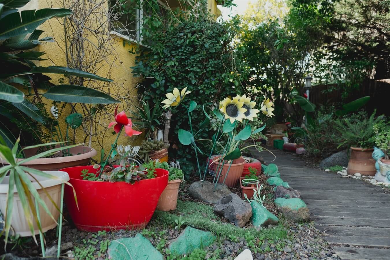 תמונה של צימר זוגי - 4 תמונה של צימר זוגי - 4