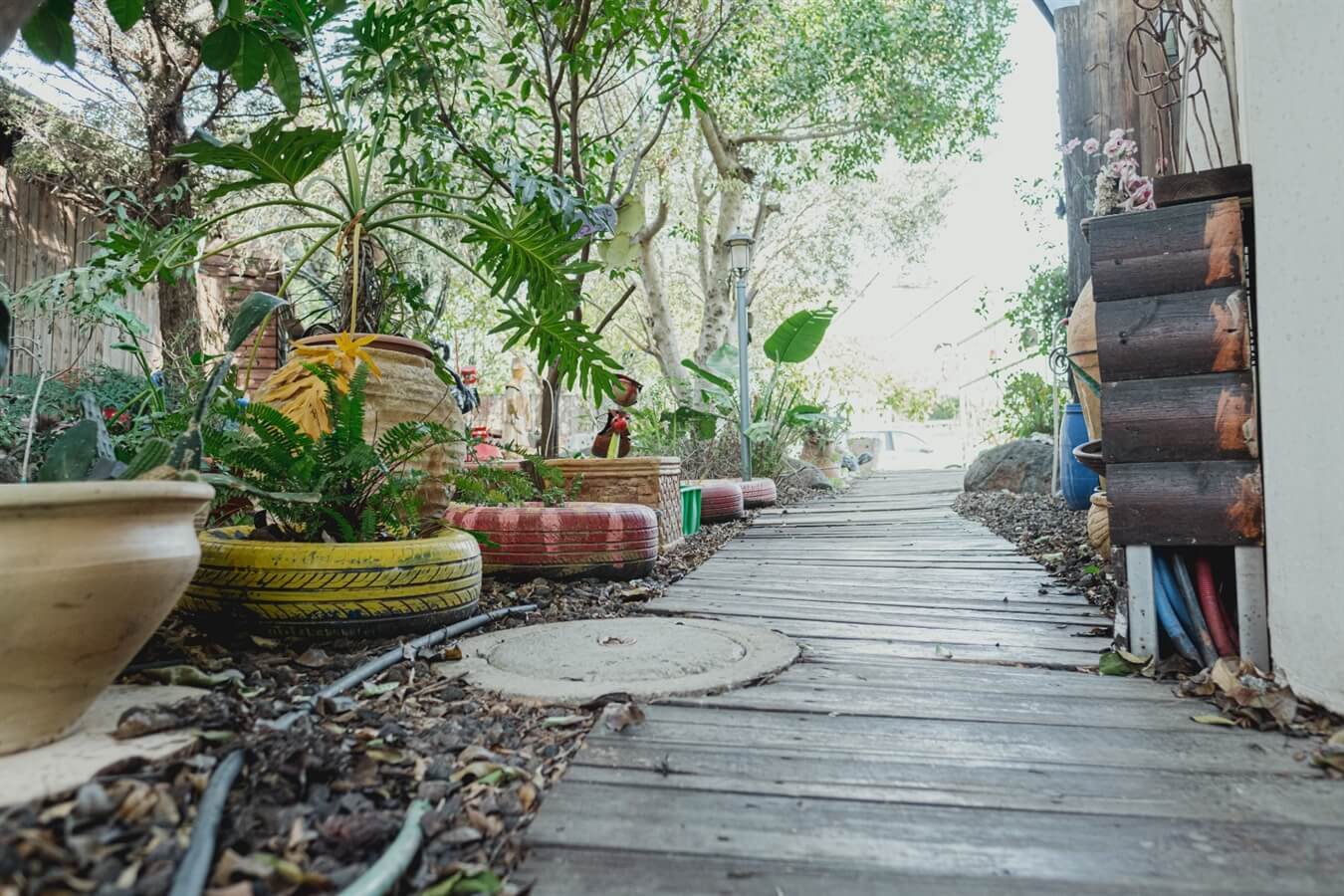 תמונה של צימר זוגי - 5 תמונה של צימר זוגי - 5