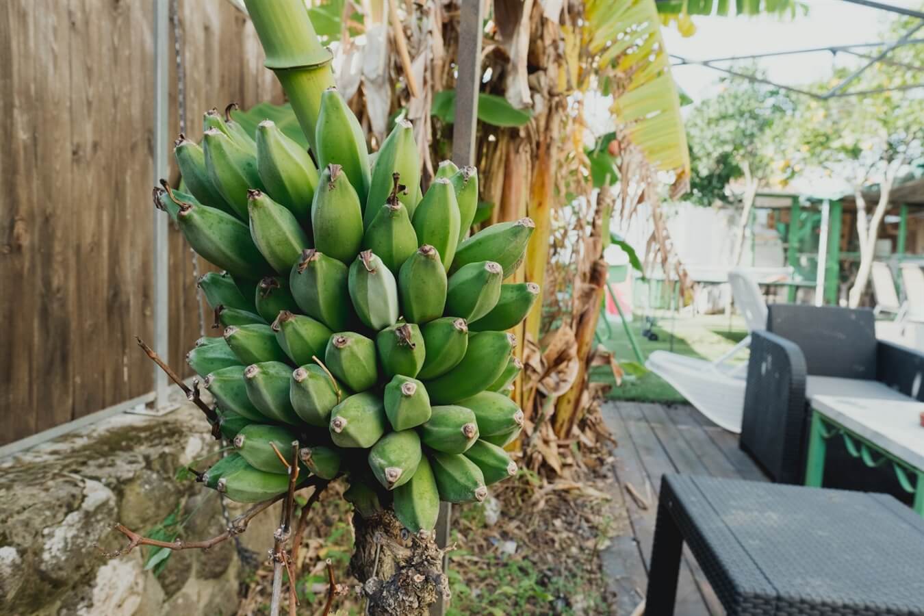 תמונה של צימר משפחתי - 6 תמונה של צימר משפחתי - 6