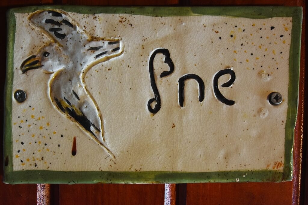 תמונה של בקתת שחף - 10