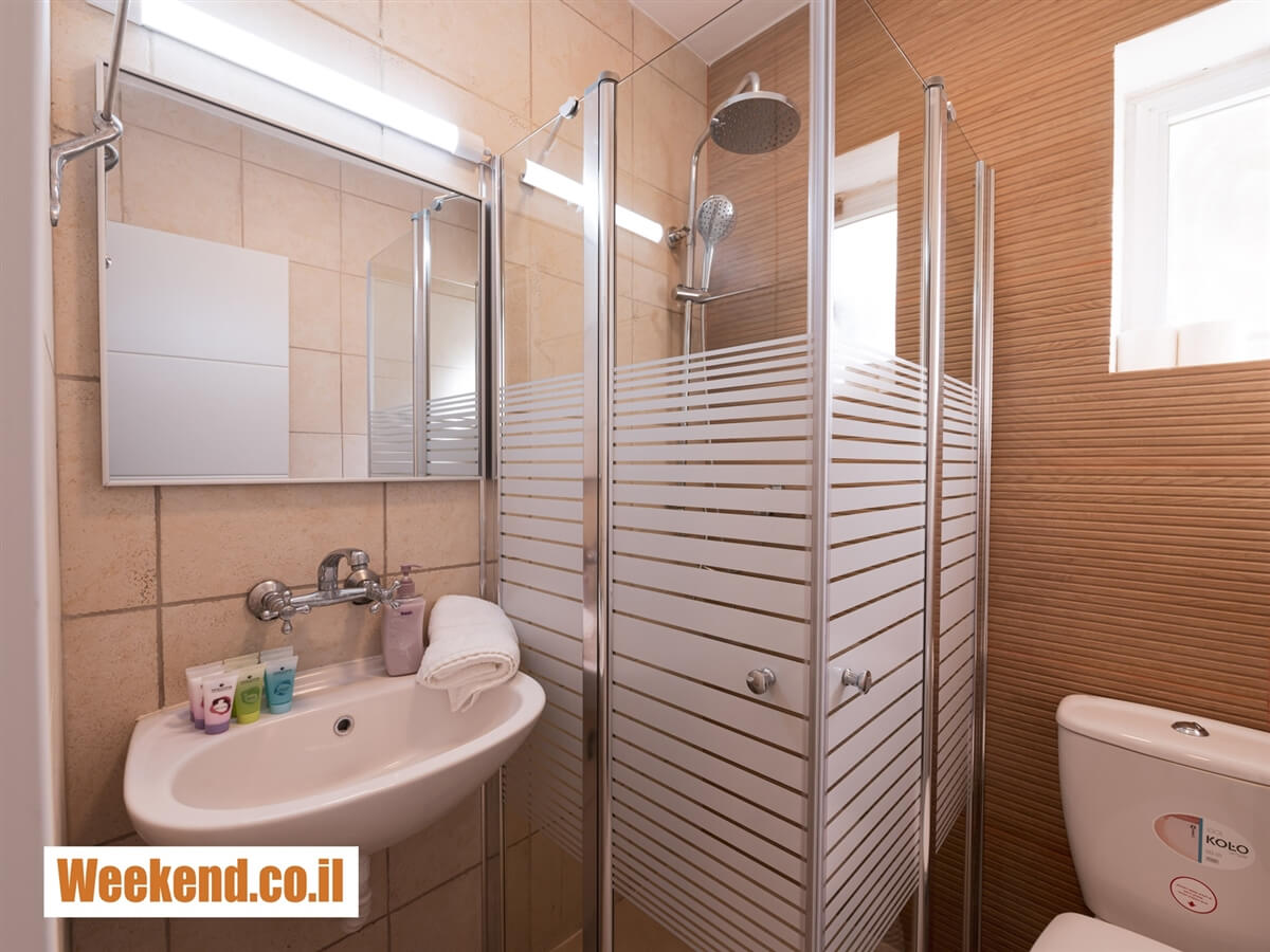 תמונה של לצינו - 4