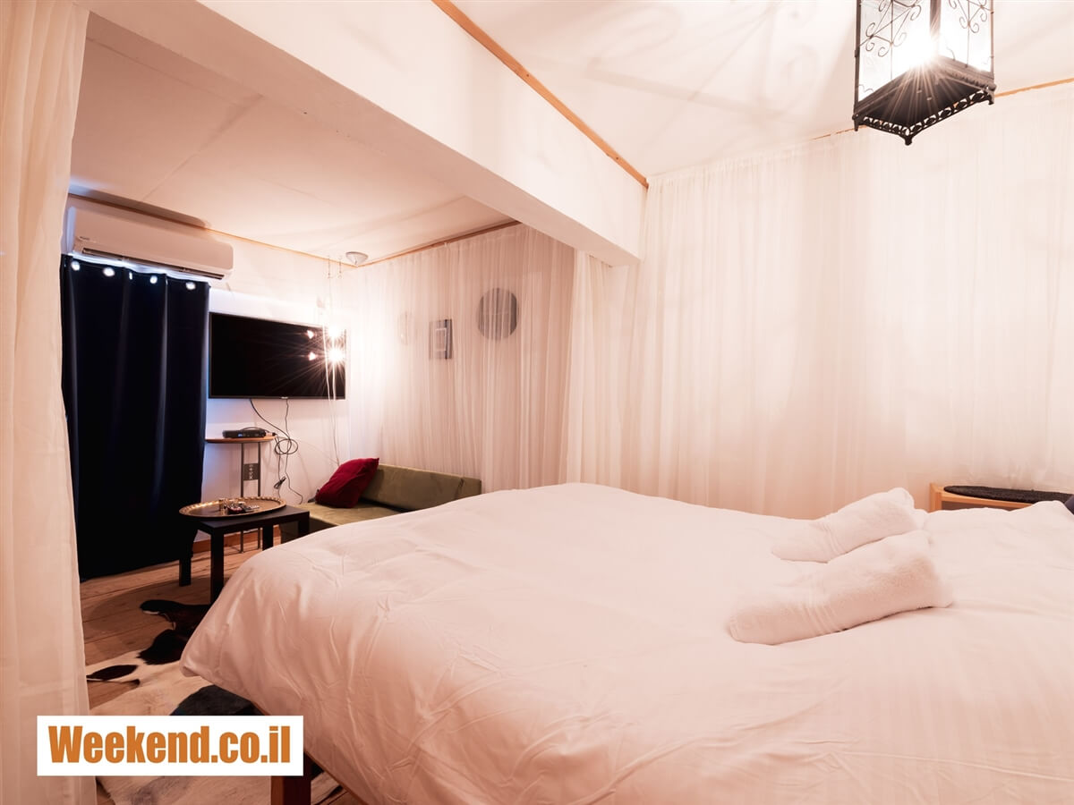 תמונה של אסקל - 8