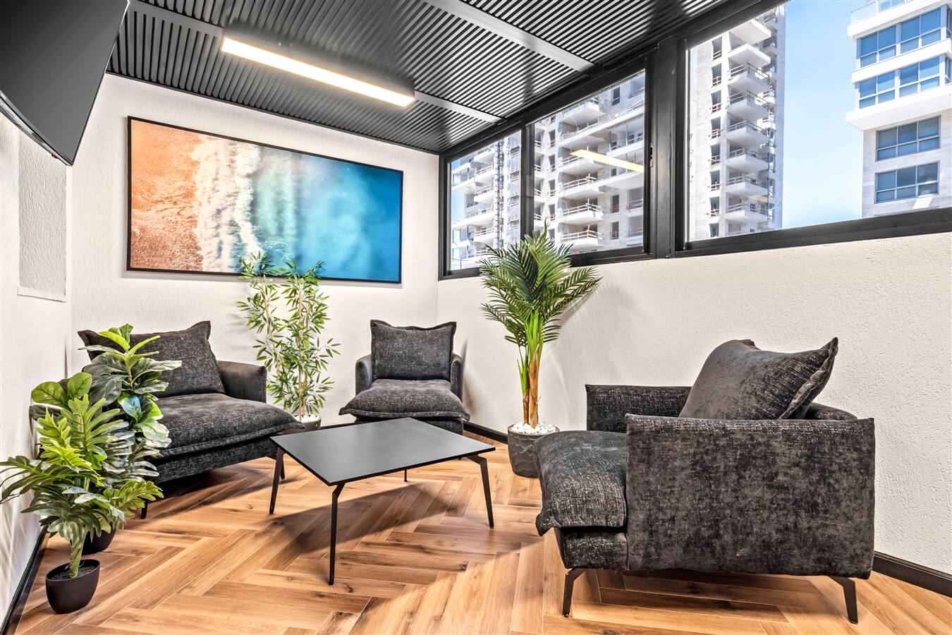 תמונה של קינג - 13