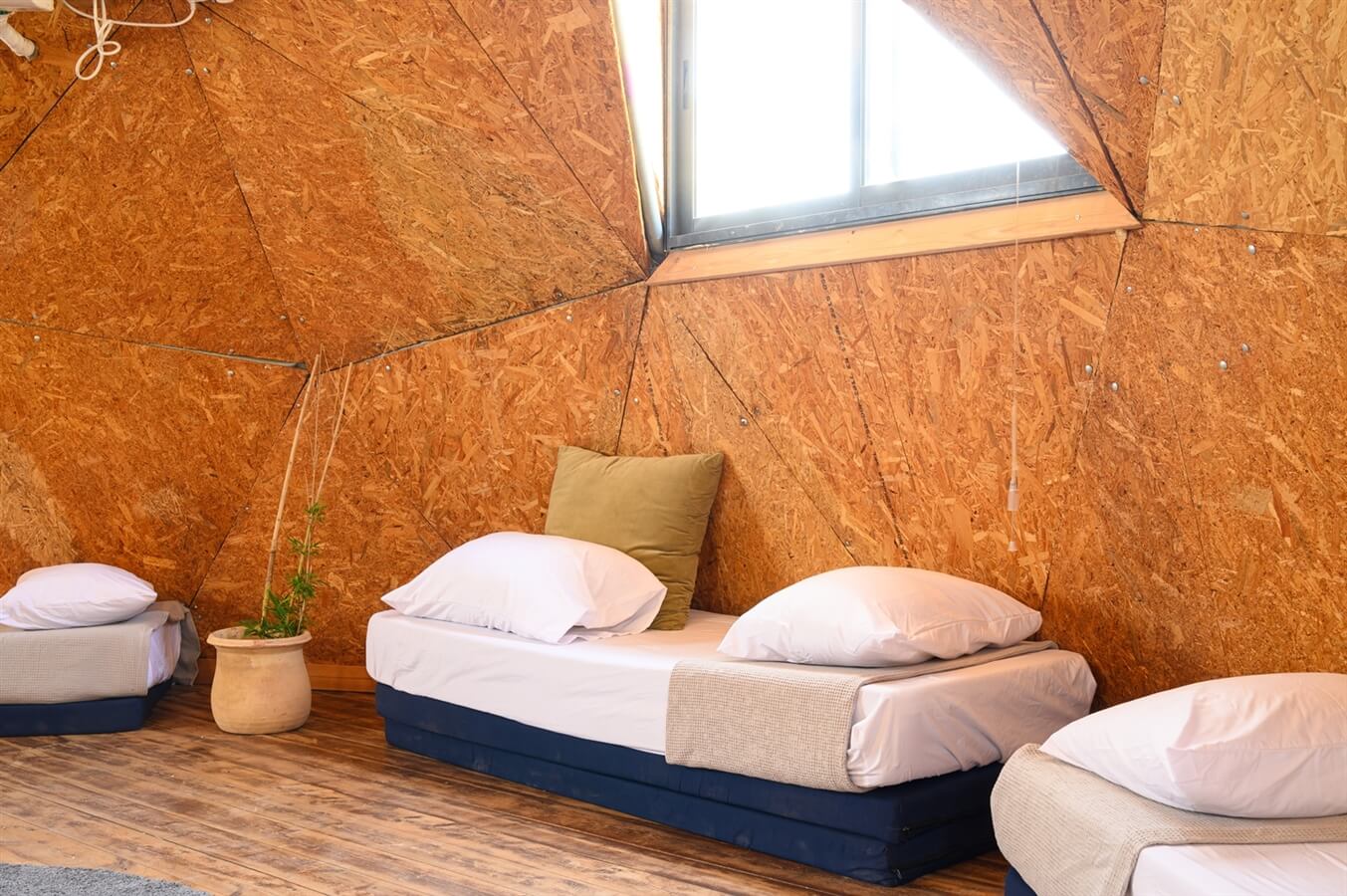 תמונה של היורט - 6