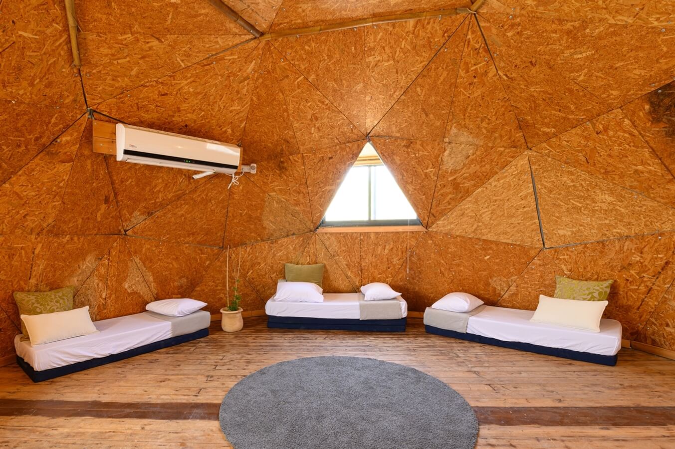 תמונה של היורט - 5