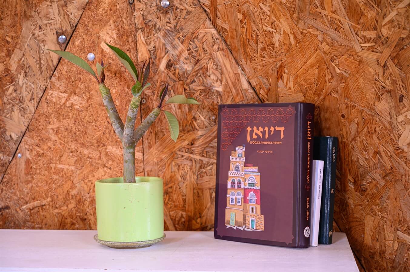 תמונה של היורט - 13