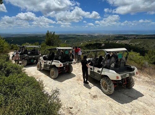 תמונה שצולמה ברייזרים הכרמל - 2 תמונה של רייזרים הכרמל - 2