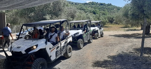 תמונה של הרייזרים תמונה של הרייזרים