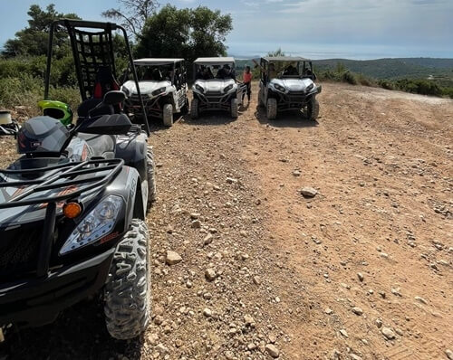 תמונה שצולמה ברייזרים הכרמל - 4 תמונה של רייזרים הכרמל - 4