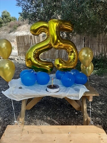 תמונה של הרייזרים תמונה של הרייזרים