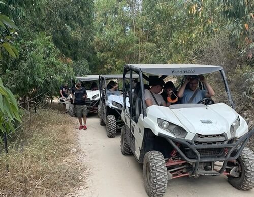 תמונה שצולמה ברייזרים הכרמל - 3 תמונה של רייזרים הכרמל - 3