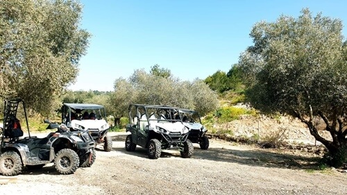 תמונה שצולמה ברייזרים הכרמל - 1 תמונה של רייזרים הכרמל - 1