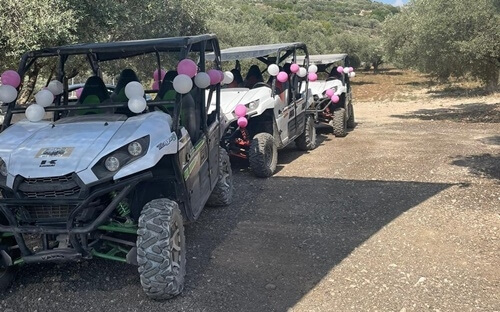 תמונה של הרייזרים תמונה של הרייזרים