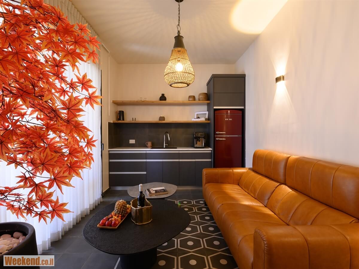 תמונה של סוויטה 1 - 4