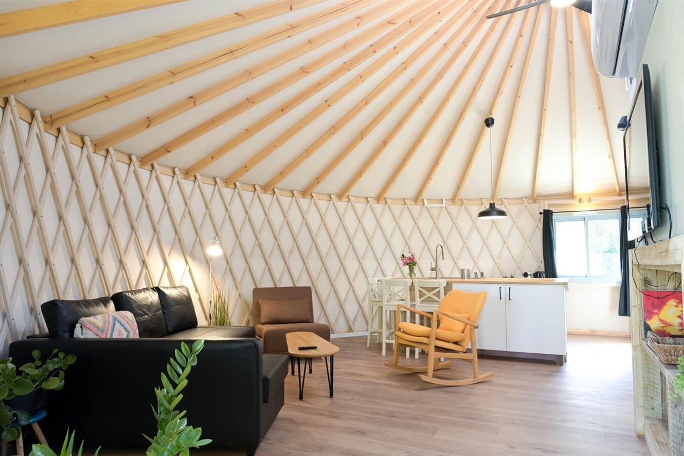 תמונה של היורט - 3