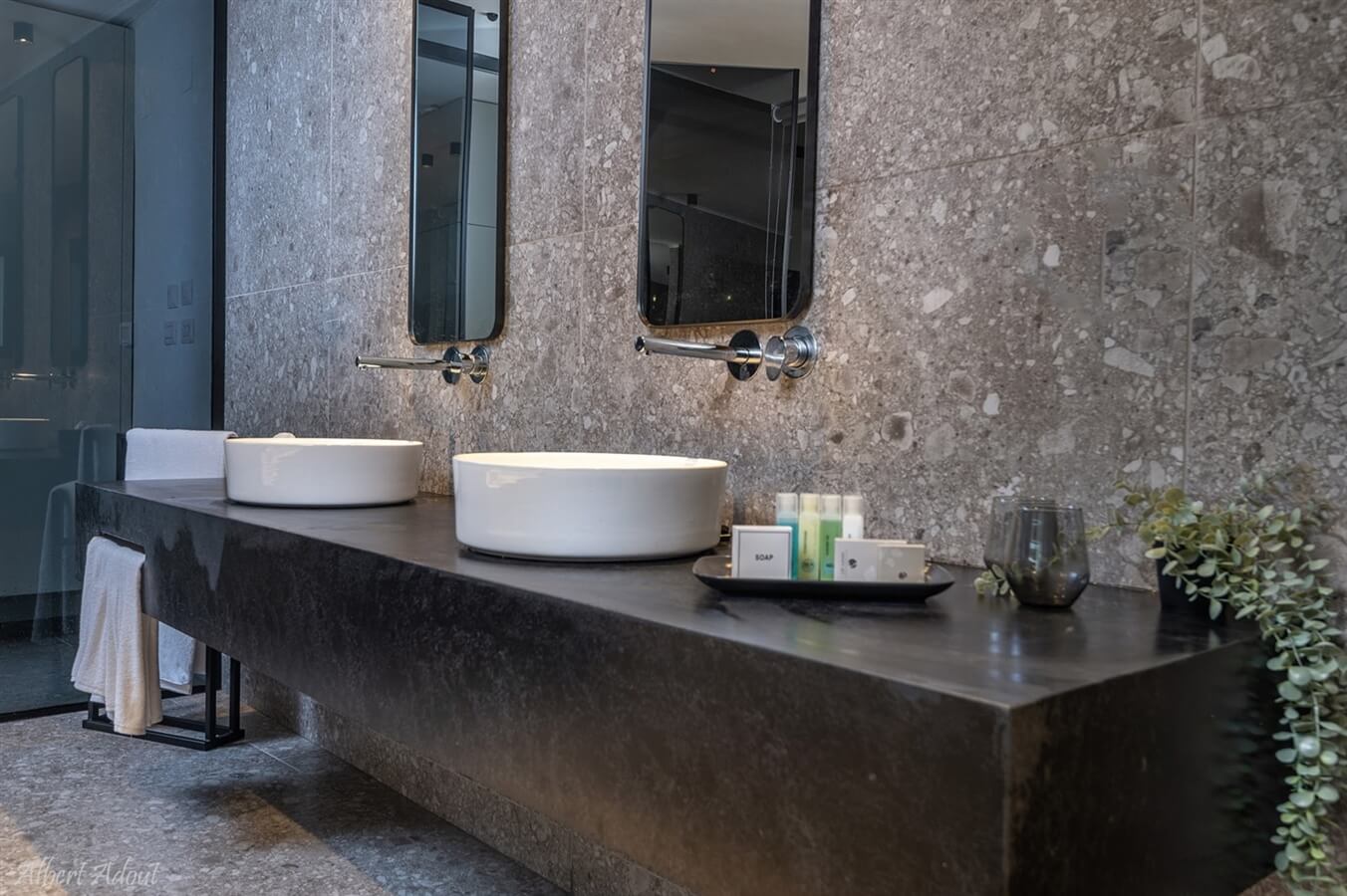 תמונה של סוויטות הגן - 11