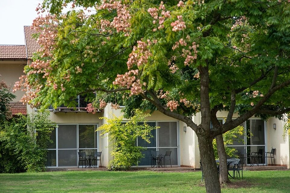 תמונה של חדר קלאסיק עם יציאה לדשא - 8