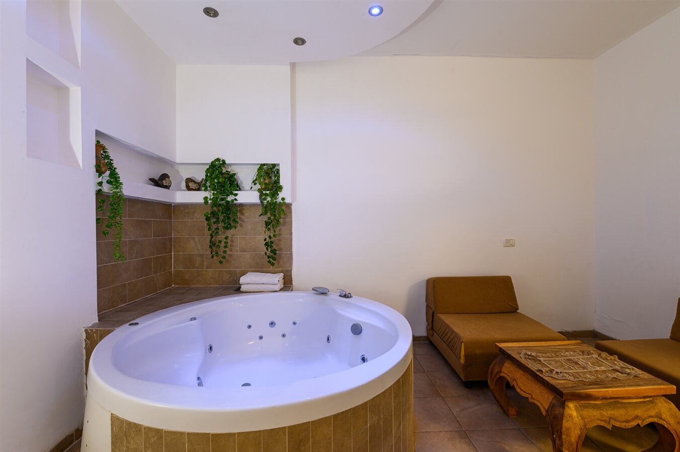 תמונה של השחר העולה - 6