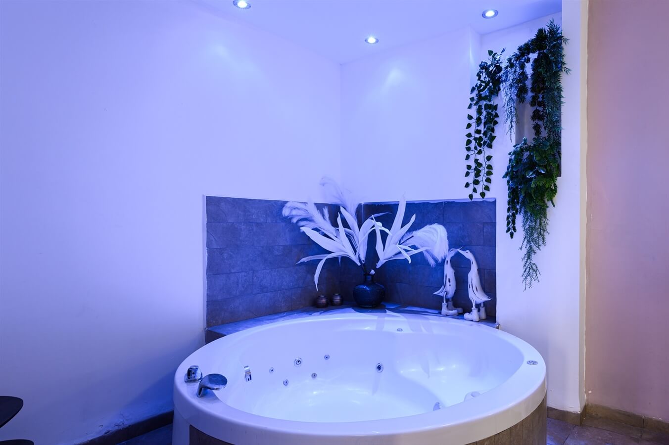 תמונה של גן עדן - 6