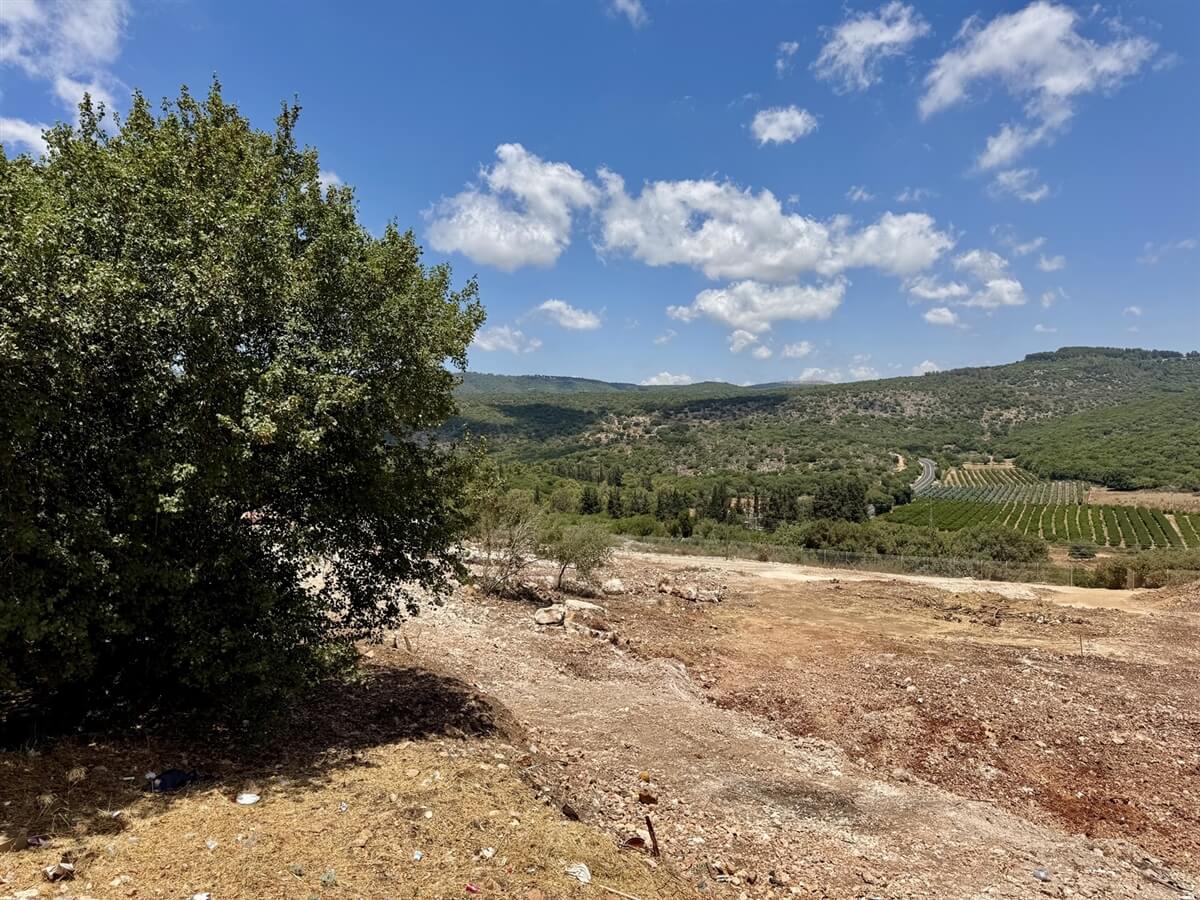 תמונה של סוויטת קוליברי - 12 תמונה של סוויטת קוליברי - 12