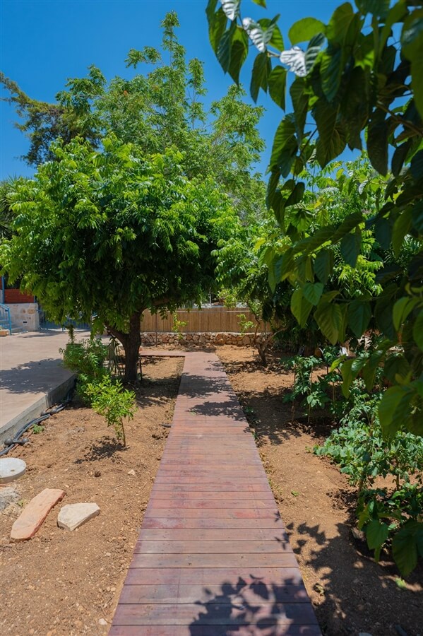 תמונה של צימר התות - 2