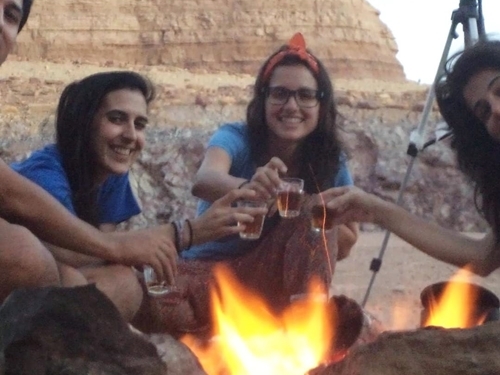 תמונה של מטר המטאורים