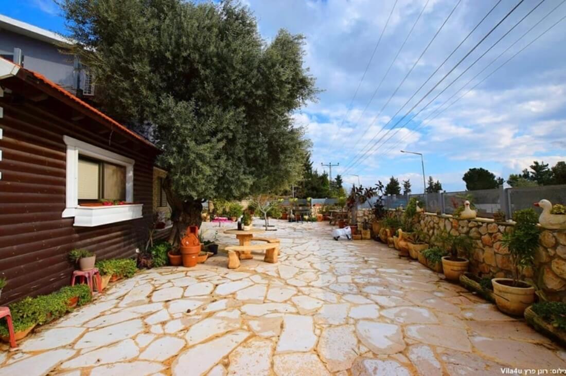 תמונה שצולמה בדקה מהעתיקה - 1 תמונה של דקה מהעתיקה - 1