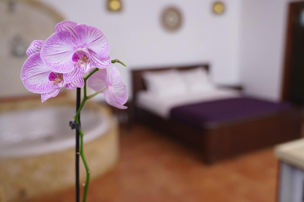 תמונה של יחידות האירוח - 7